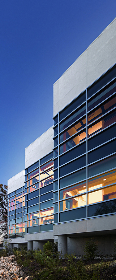 Belding Library Expansion